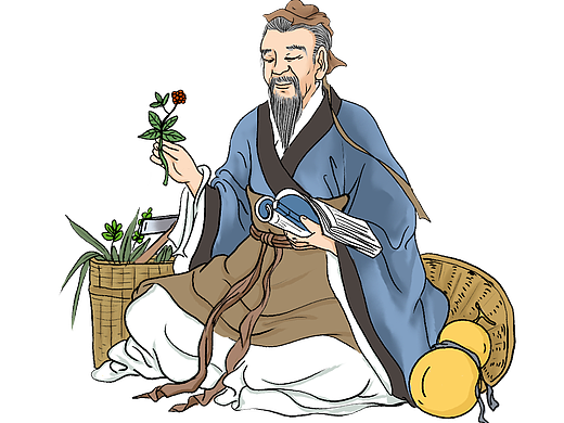 中医药插画