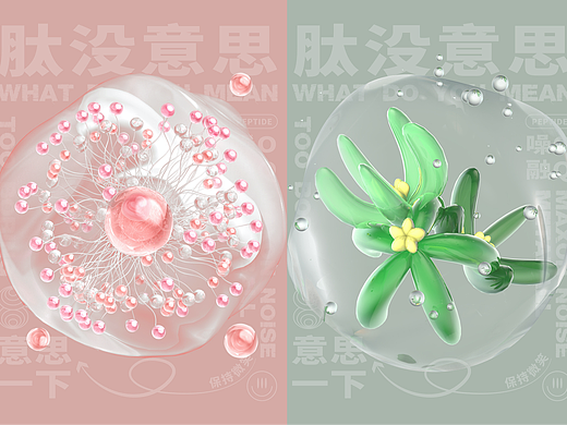 肽没意思-第二弹