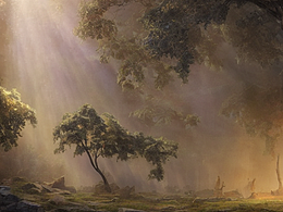 森林中史詩般的丁達(dá)爾光線繪畫創(chuàng)作