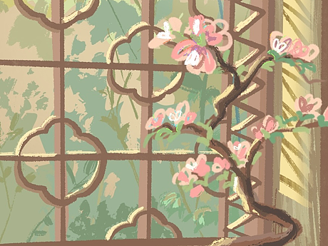 阳光下的花花