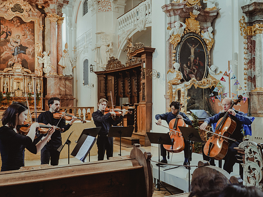 musiklabor klassik古典音乐演奏乐团 法兰克福 德国