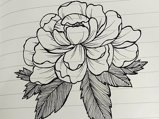 臨摹練習(xí)（個人主頁-ZNjcxMjY1MzY=） - 創(chuàng)作習(xí)作 - 站酷設(shè)計師Vi青芒原創(chuàng)素材 - 站酷ZCOOL