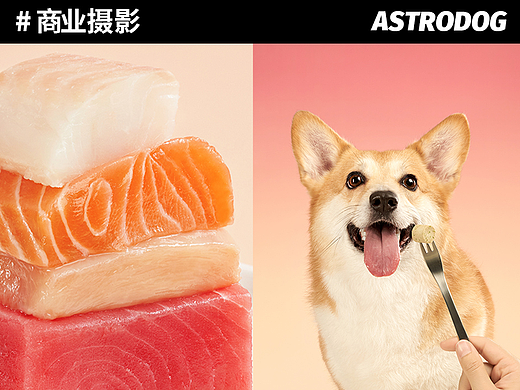 宠物食品拍摄 —— 布兰德烘焙狗粮 主食冻干生骨肉