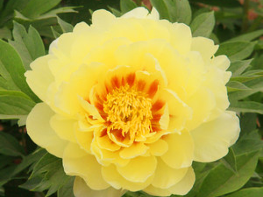 巴茨拉（个人主页-ZNTk0NDcyNjA=） - 风光摄影 - 站酷设计师可v可v小鹿原创素材 - 站酷ZCOOL