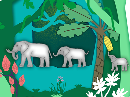 森林的下午时光