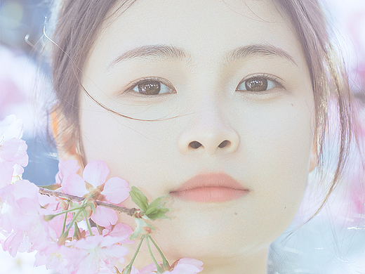 花开了一山又一山