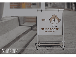 勺嘴鷸品牌設(shè)計(jì)