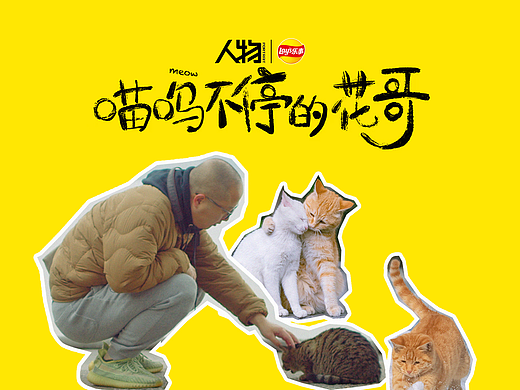 纪录 喵呜不停 X 乐事 X 人物｜有猫就有乐事