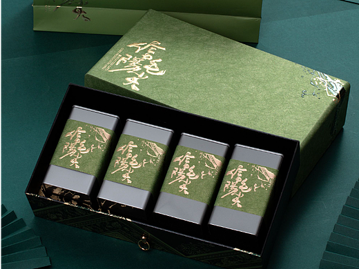 春茶信阳毛尖绿茶礼盒