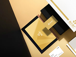 地产品牌设计 慧江 标识使用规范