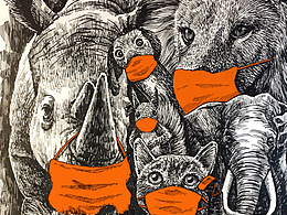 整理近年的动物插画-合集 