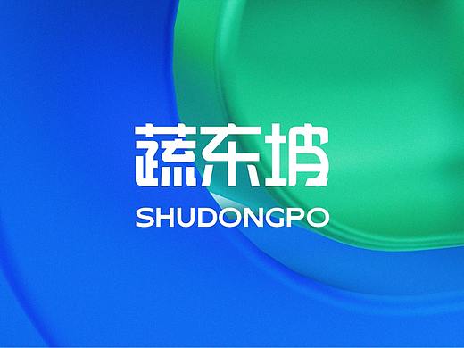 蔬东坡品牌升级