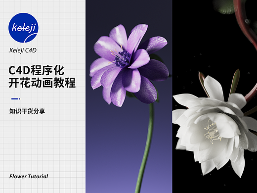 C4D程序化花开（附教程）