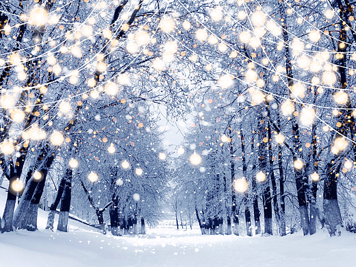 灯串 雪景 大树 冬季（个人主页-ZNjIxMTUwOTY=） - 海报 - 站酷设计师小猪的小伊依原创素材 - 站酷ZCOOL