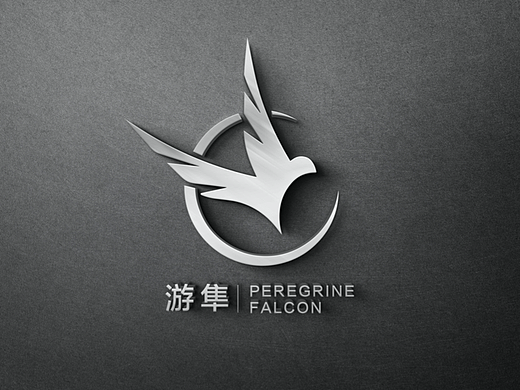 游隼医疗器械品牌logo