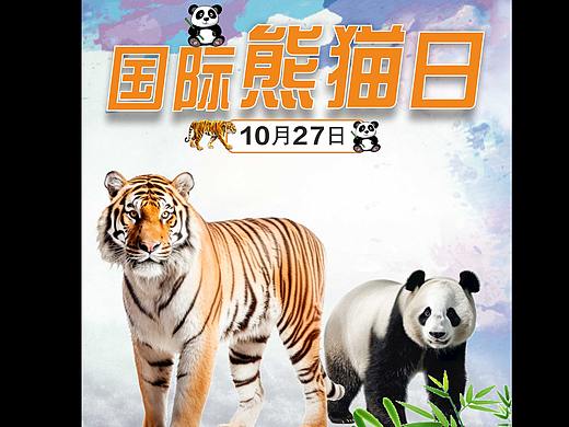 熊猫和它的伙伴们