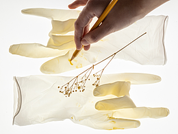 宅家拍照｜日常之物-手套