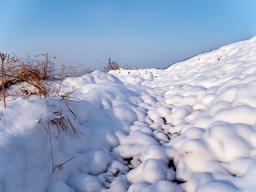 雪融了就应该花开