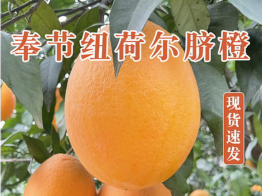 橙子详情页