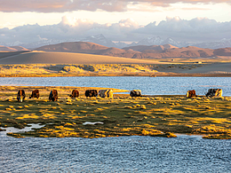 行攝阿里#創(chuàng)作加油站#