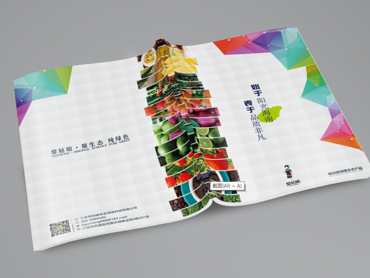 水果画册（个人主页-ZNjExNDQ0MTI=） - 书籍/画册 - 站酷设计师波阁原创素材 - 站酷ZCOOL