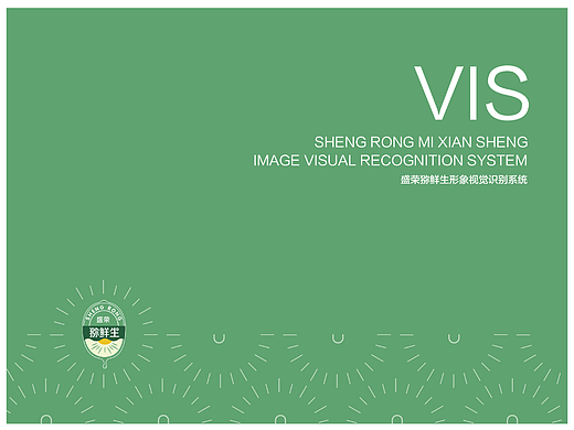 LOGO+VI