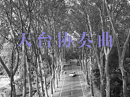 短片拍摄