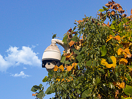 關于我想調(diào)色玩玩一不小心上癮了導致下班以后腿都坐麻