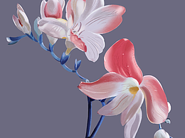 画一朵花儿