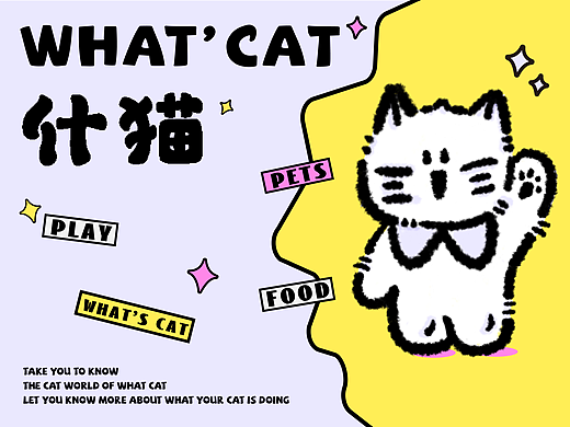 什猫宠物品牌设计