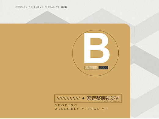 VI施工应用手册