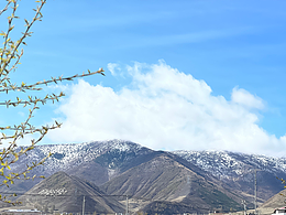 五一旅行随拍.自驾318川西