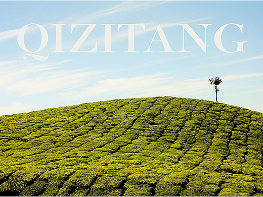 栖子堂茶饮品牌设计（个人主页-ZNjM1NjI4NDQ=） - 品牌 - 站酷设计师Phoebe来了原创素材 - 站酷ZCOOL