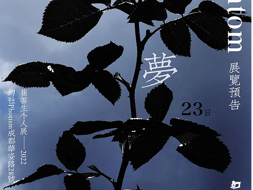 幻PHOTISM｜崔善生个展《忧心忡忡的美梦》将于7月9日开幕
