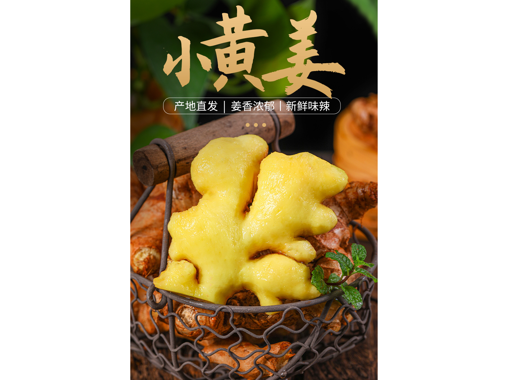 少年骇客:全面进化第四季
