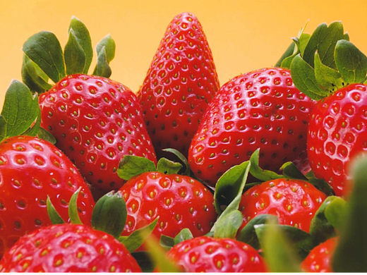 草莓视频（个人主页-ZNjQwODUwMTY=） - 产品摄影 - 站酷设计师高婷婷tt原创素材 - 站酷ZCOOL