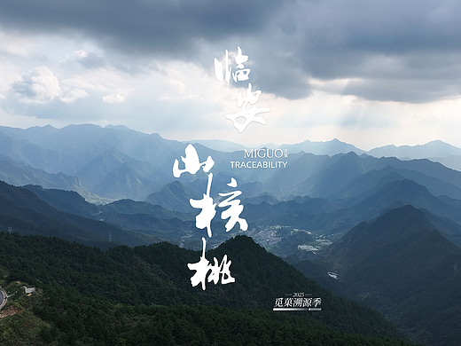 临安山核桃溯源（觅菓）