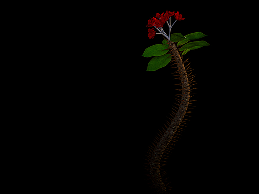 2021-2024 VFX Demo Reel