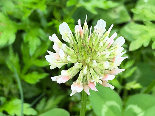 家乡~回不去的小时候