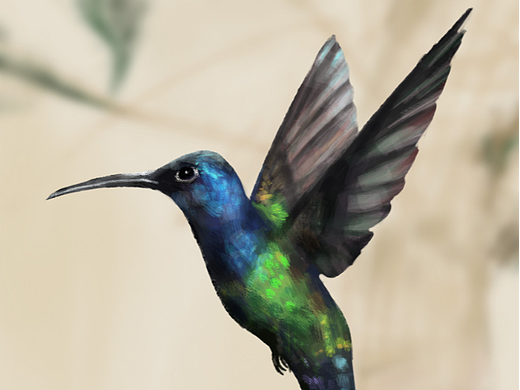 绘画星球打卡挑战-10