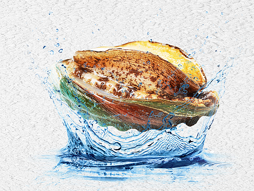 海产banner（个人主页-ZNjQzMTYyMDA=） - 电商 - 站酷设计师0故渊0原创素材 - 站酷ZCOOL