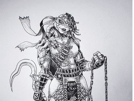 第5位女忍者神龟安圭索拉