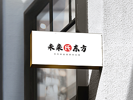 未来氏东方｜中式健康品牌VIS策划设计