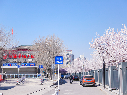 春天公司旁边的桃花