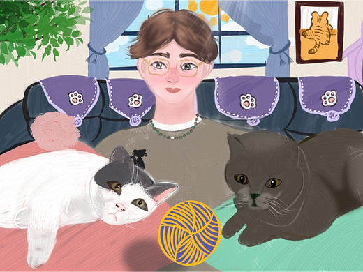  茶π美好世界          我的朋友家的猫咪