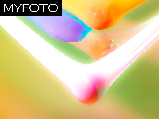 MYFOTO LAB | 世间柔情尽有之