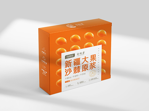 沙棘原浆 包装设计