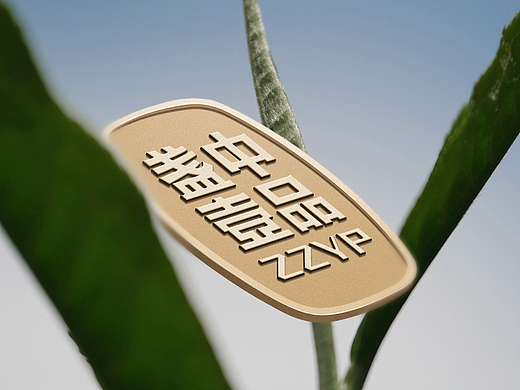 茶叶品牌全案/包装设计｜都市养生新时尚