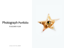 摄影作品集