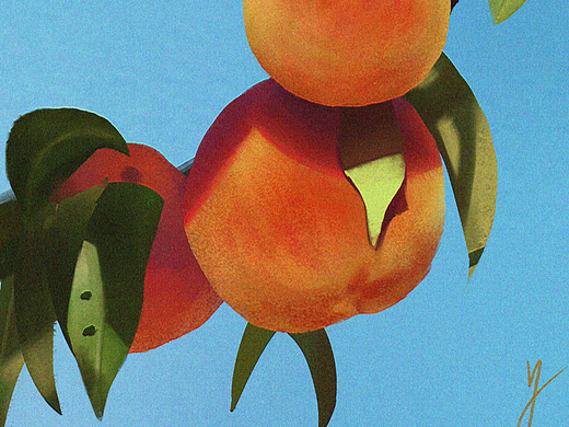 Day01质感插画打卡挑战